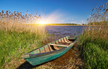 Old green boat on grassy lakeshore among reeds under blue sky.