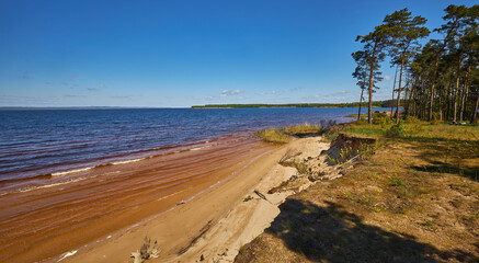 Sandy lake shore with reddish water and uprooted tree on a sunny day