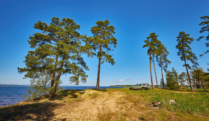 SUV parked by the lake in pine forest under clear sky