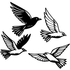 Obraz premium Four birds in flight with detailed wings and silhouette style