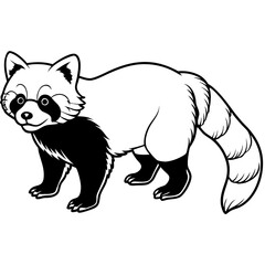 Obraz premium Cute red panda standing with fluffy tail and ringed silhouette