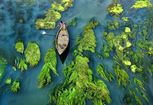 Aerial view of a lone boatman rows through the river's embrace, amidst vibrant green algae contrasting with the water's depths along Krisokgonj Bazar, Sirajganj, Rajshahi Division, Bangladesh.
