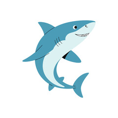 shark vector illustration