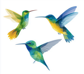 Obraz premium Three hummingbirds, vector illustration, flat design, white background