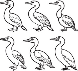 set of cormorant line art, black outline, vector and illustration, coloring book page line art drawing