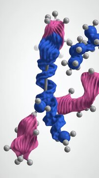 Rotating Molecule with Pink Pleated Sheets and Blue Helix on Gray Background for Science and Medical Visualization