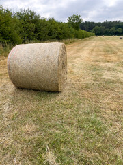 Round straw bale in a field of distant others on a summer day in England