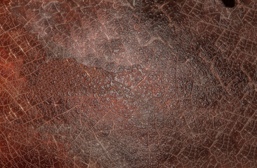 Cracked brown surface showing intricate texture and detail