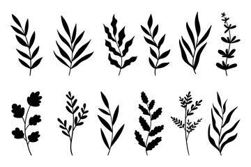 Vector leaf silhouettes. Leaves and branches silhouettes set. Wild plants and garden leaves silhouettes on white background