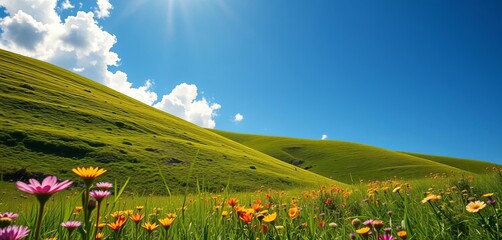 Serene green hills, vibrant wildflowers under a brilliant blue sky, embodying spring renewal,  wildflowers,  green