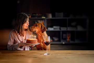 Woman and Rhodesian Ridgeback dog celebrating the dog's 4th birthday with a cake made of pet food with 4 candles. With copy space.