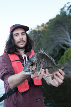 Male Angler Holding a Southern Black Bream