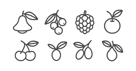 Fruit outline icon set. pear, berry, cherry, grapes, citrus icons collection