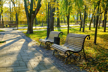 Empty Park Benches in Golden Autumn Sunlight
