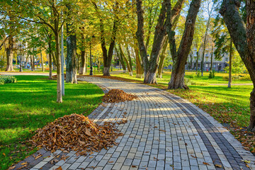 Winding Hillside Path in a Golden Autumn Park
