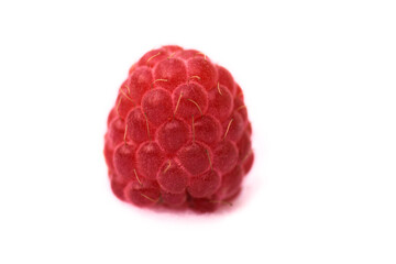 Fresh ripe red raspberry berry. Isolated on a white background. Shown in detail in close-up