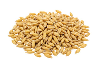 Isolated Abundant Pile of Golden Oat Seeds