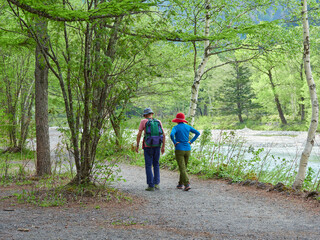 Obraz premium 夏の観光名所上高地の森の散策道でハイキングする男女観光客の姿