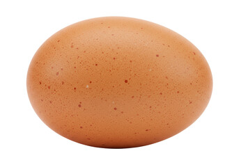 Isolated Fresh Brown Chicken Egg with Speckled Shell