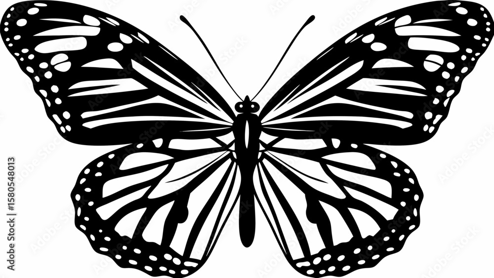 Poster black and white butterfly with intricate wing patterns and delicate antennae in a symmetrical design