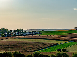 Viele Strohrollen auf einem Stoppelfeld