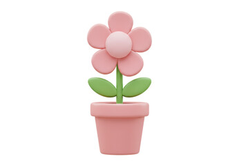 Isolated Pink Flower in Pot Spring Bloom Decorative