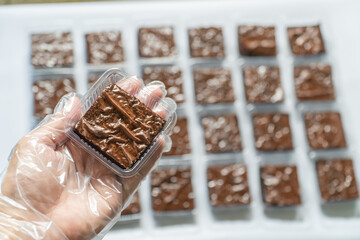 Gloved Hand Presenting Fuggy Brownie on the left side with Blurred Background