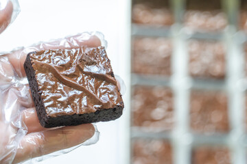 Gloved Hand Offering Brownie, Production Tray Background with Copy Space