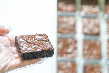 Overhead Abstract of Unpackaged Brownies in Production Tray