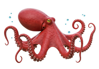 Isolated Red Octopus with Bubbles Underwater