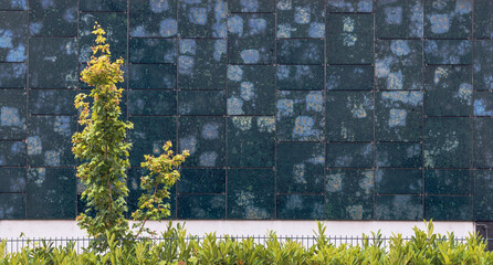 Mit Platten verkleidetes Haus in der Stadt mit Baum und Hecke
