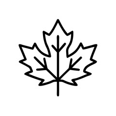 Simple black outline of a maple leaf on white background  