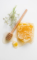 Honey in honeycombs dripping, pouring from wooden honey dipper spoon, on white background. Close-up. Healthy organic liquid honey spill, with flowers. Flat lay, top view, from above vertical shot 