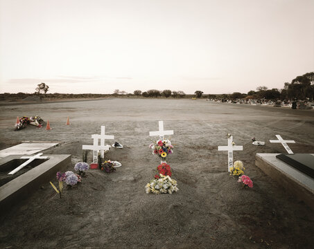 Cemetery with wooden crosses and flowers