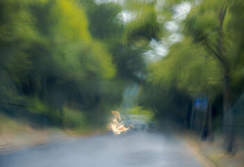 Blick aus Autoscheibe bei Regen und Sturm, absichtliche Bewegungen durch ICM