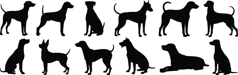 Dog Silhouette Vector Collection, Multiple Breed Clipart Pack, Animal Poses for Pet Design, Black and White Artwork, Canine Graphic Icons