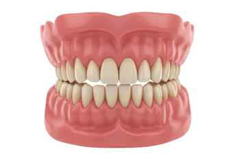 Obraz premium Realistic 3d Rendering of Complete Denture False Teeth on Transparent