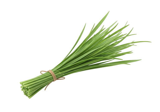 Fresh Bundle of Green Chives Tied with a String on White Background