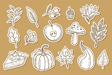 Hand draw autumn collection. Leaves, berries, pumpkin. Crayon drawing style, autumn design