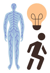 Human nervous system blueprint alongside lightbulb and running figure symbolizing energy, creativity, motivation, learning, athleticism, decision-making, and problem-solving. Ideal for health