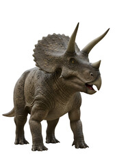 Obraz premium Realistic Isolated Triceratops Dinosaur Transparent Background Wildlife Extinct