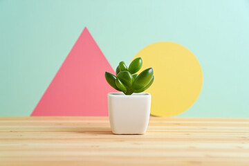 Minimalist Aesthetic Still Life A Small Green Succulent in a White Pot Contrasted by Colorful Geometric Shapes on a Wooden Surface