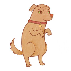 Fototapeta premium Friendly dog asking food, standing on his paws, illustration isolated on the white background. Brown dog character clip art.
