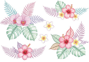 Watercolor Floral Bouquet with Hibiscus Plumeria and Monstera Leaf PNG