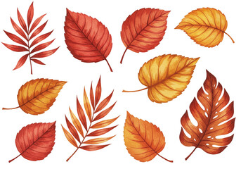 Fototapeta premium Watercolor Illustration of Assorted Fall Leaves in Brown and Orange Isolated