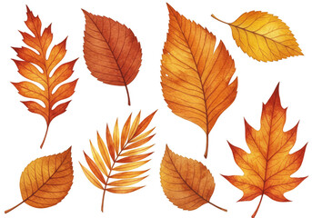 Fototapeta premium Watercolor Illustration of Autumn Leaves on Transparent Background Fall Season