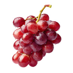 Fototapeta premium Close up of a bunch of ripe red grapes with water droplets on a transparent background isolated on a transparent background