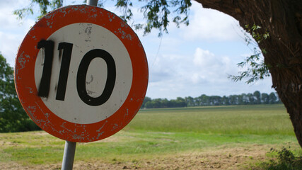 A weathered 10 km per hour speed limit sign or 110, partially obscured by a tree, standing by a rural road with a green field and distant treeline under a cloudy sky.