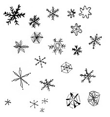 겨울의 눈꽃을 손그림으로 그린 일러스트