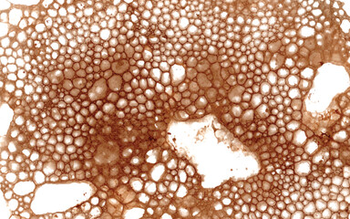 Brown watercolor bubble texture background